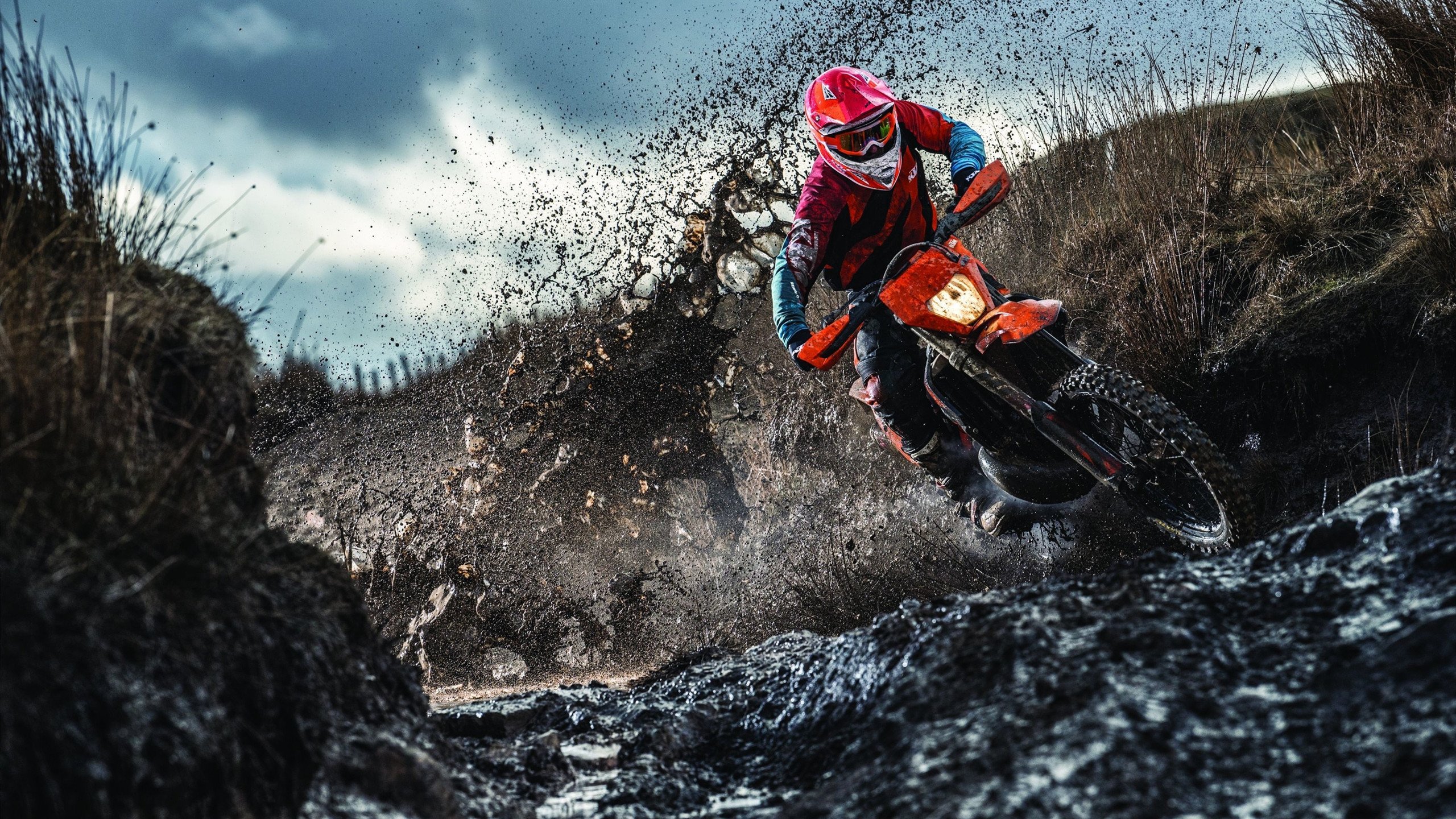 浓眉一柱擎天定乾坤，猛龙铁血防守斩火箭